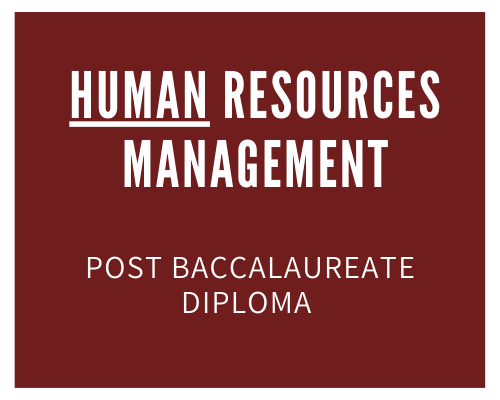 post-bac-human-resources
