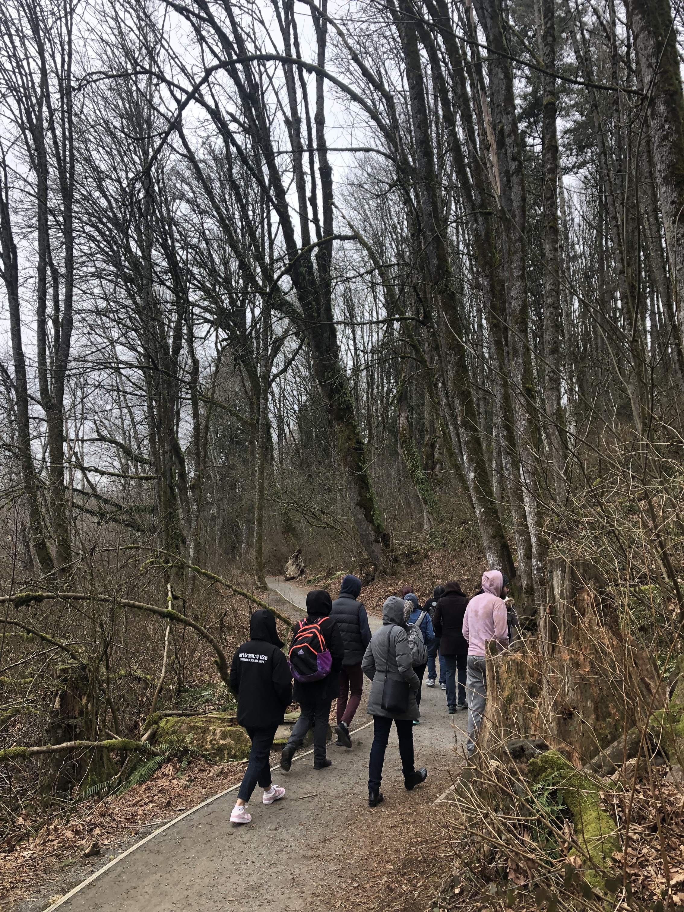 Kwantlen Polytechnic University fine arts students walk through the forest to understand historical landscapes.