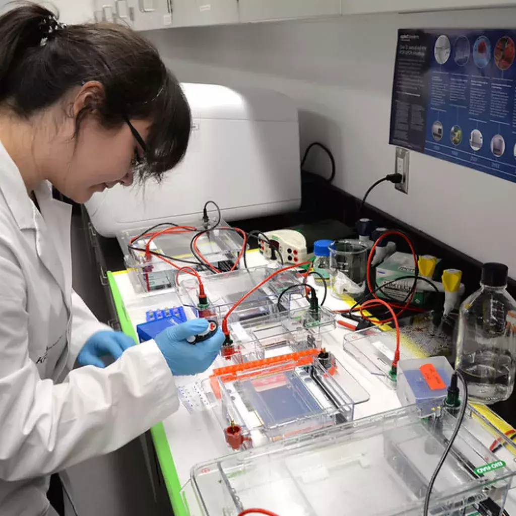 Student researcher works inside the Applied Genomics Centre.