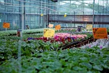 KPU Langley horticulture greenhouses