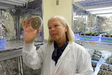 Dr. Deborah Henderson in KPU's Institute for Sustainable Horticulture lab
