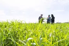 To tackle the growing concern about food security and food systems, Kwantlen Polytechnic University (KPU) is launching the Graduate Certificate in Sustainable Food Systems and Security (SFSS).  