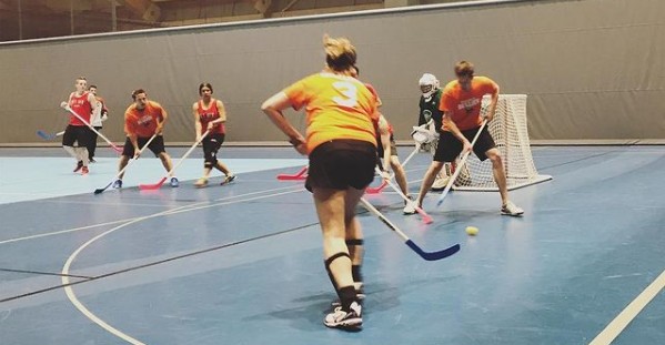 Floor Hockey