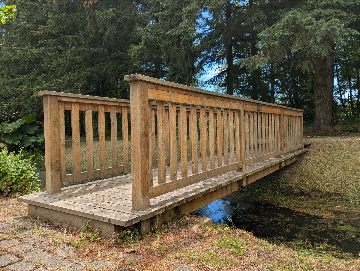 Bridge built by KPU students