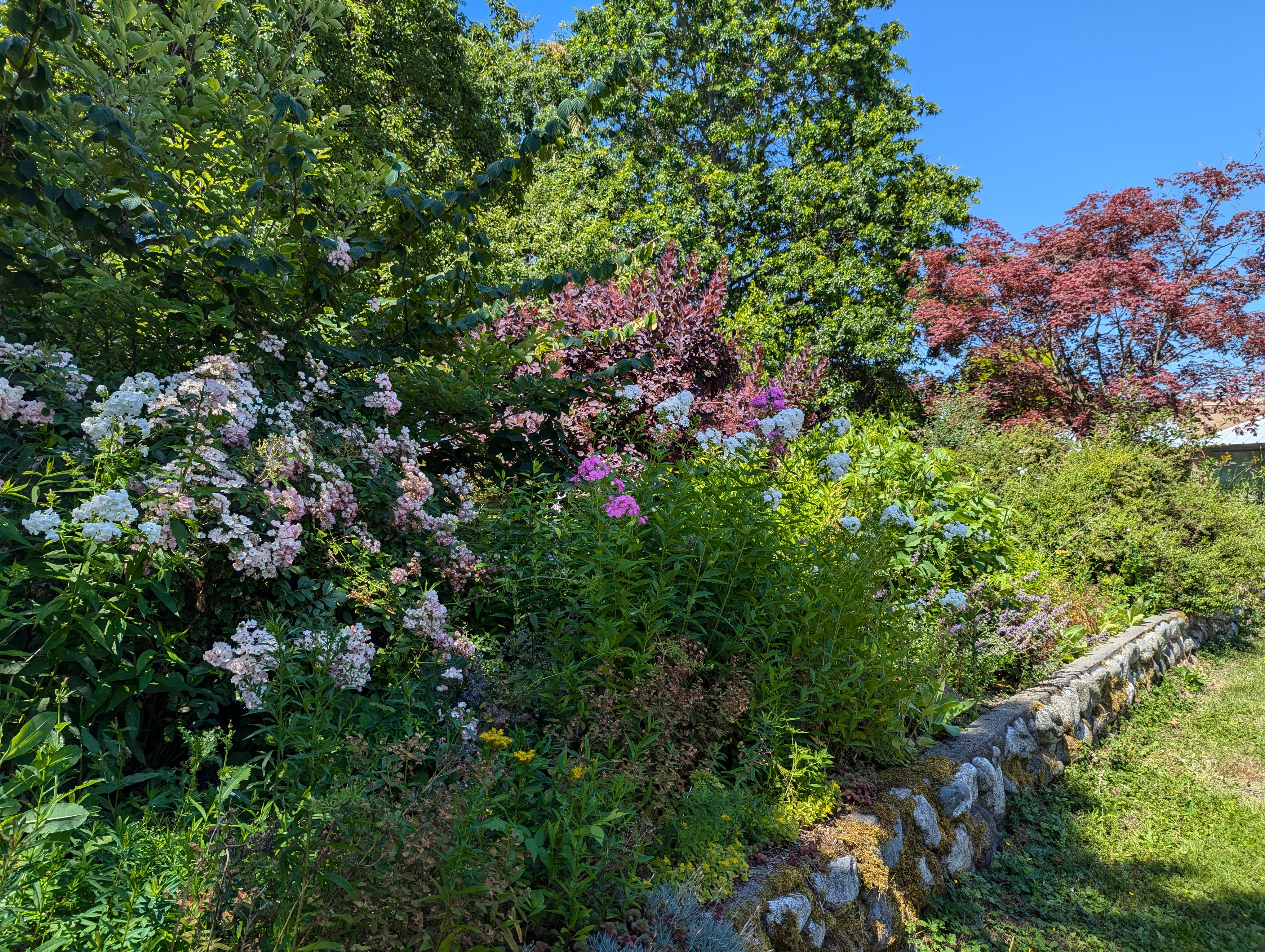 Bug Garden 2024