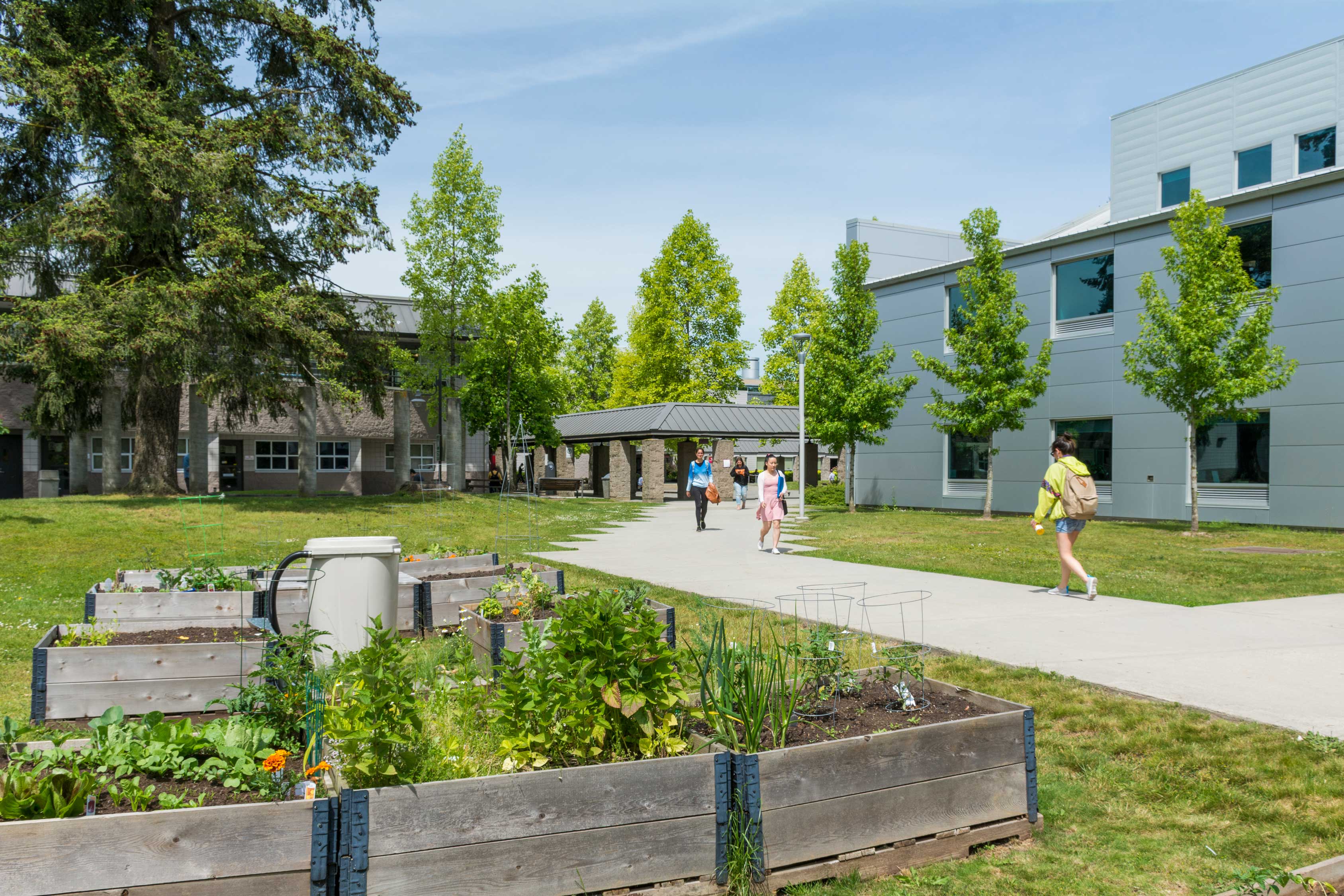 Surrey_Campus_Garden