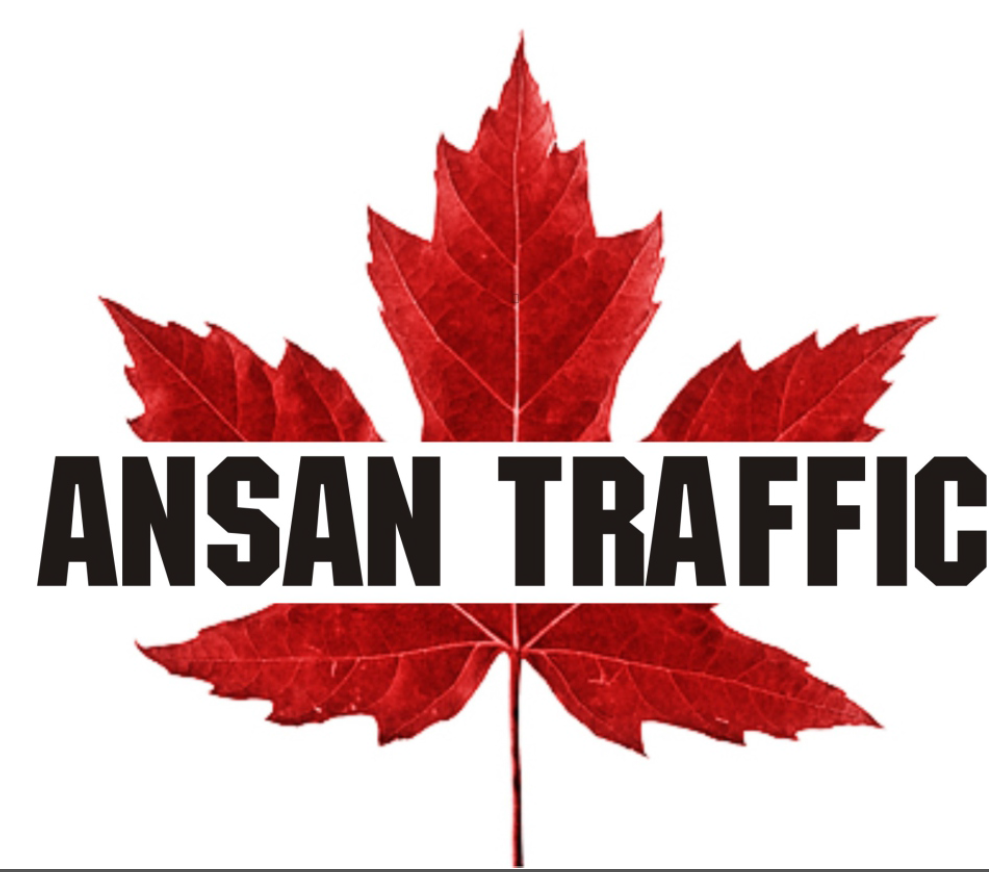 Ansan Traffic.PNG