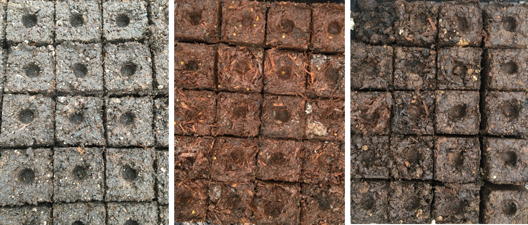 Soil blocks