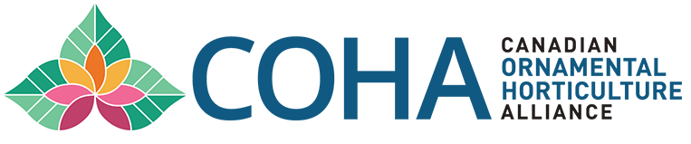 COHA-ACHO