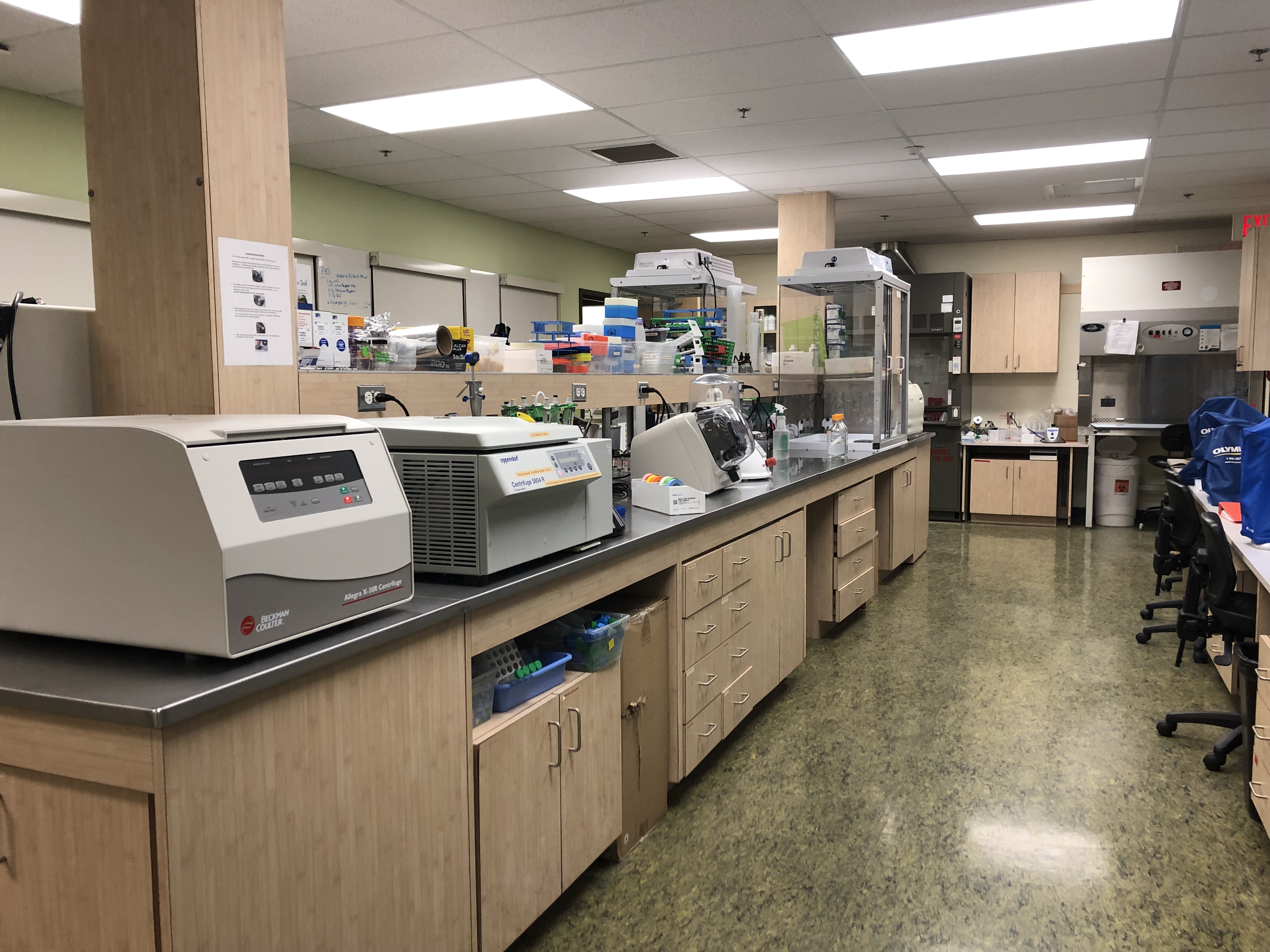 ISH Microbiology Lab