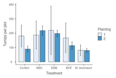 Turnips per plot date interaction