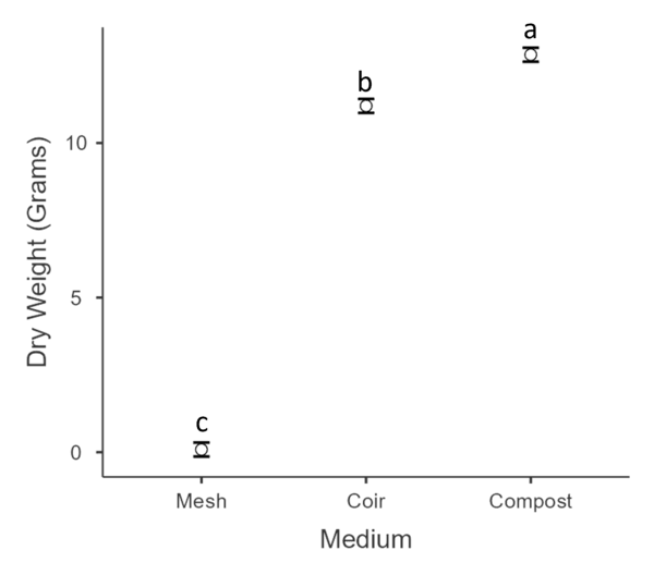 Growing media effect on microgreens