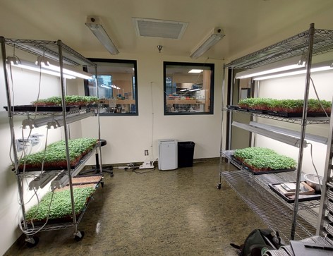 Climate controlled growing room at Institute for Sustainable Horticulture