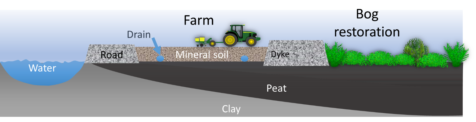 Mineral soil over peat