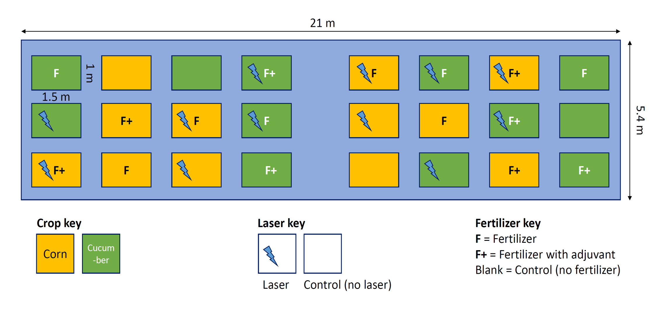 Experimental setup