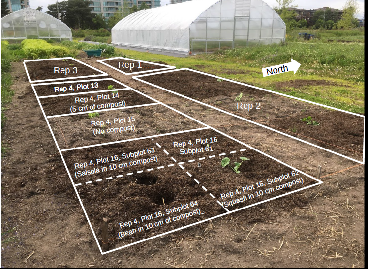 Experimental plots