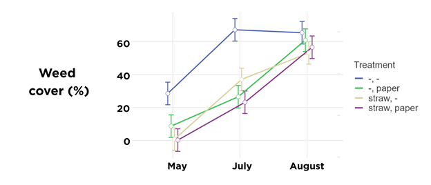 Weed cover in rice over time