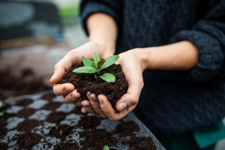 KPU student holding a plant