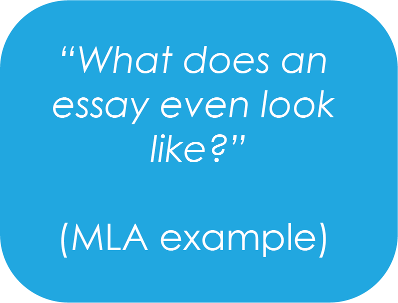What does an essay look like? 