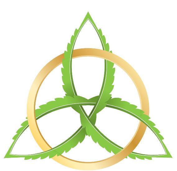 Point 3 Biotech logo