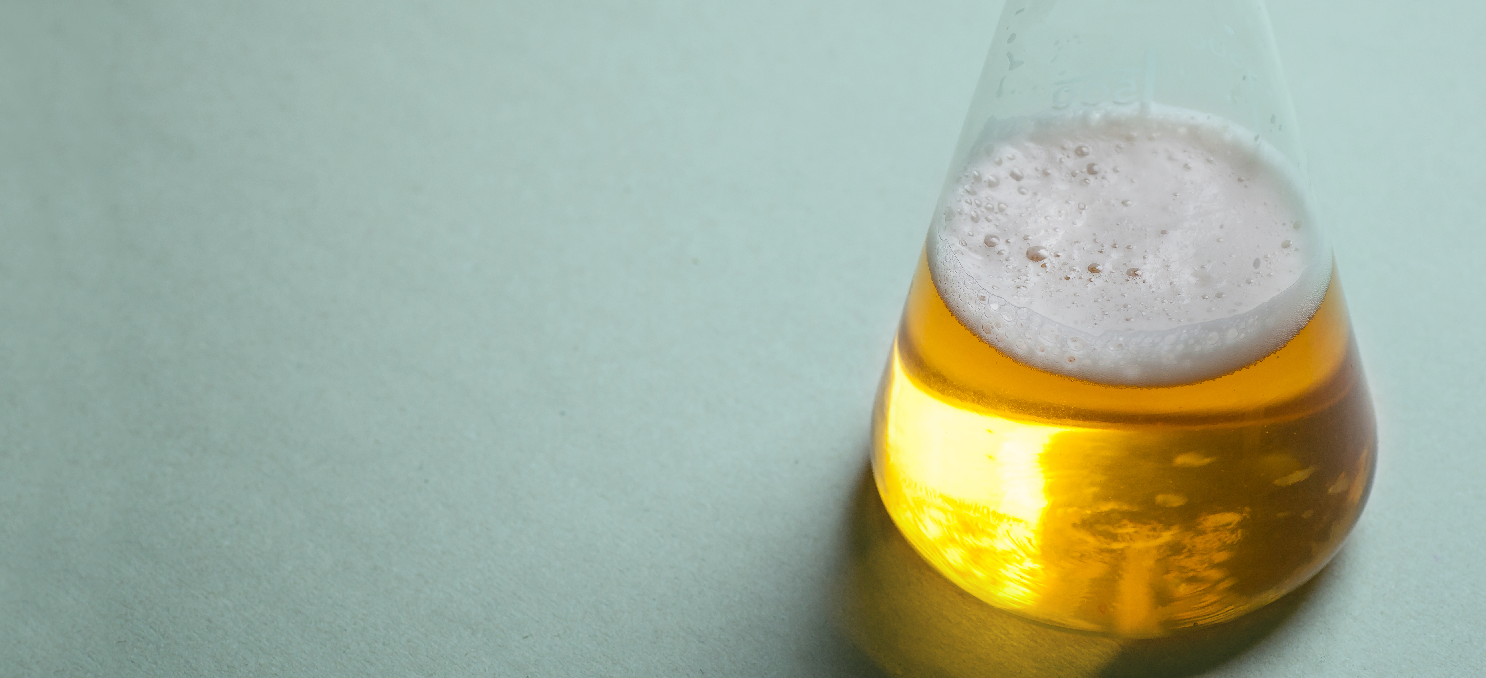 Brewing Chemistry Basics banner