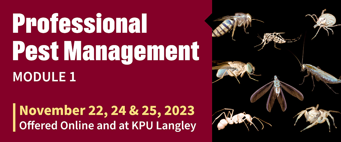 Professional Pest Management Module 1, pest management course, continuing professional studies, continuing education, pest applicators, landscapers
