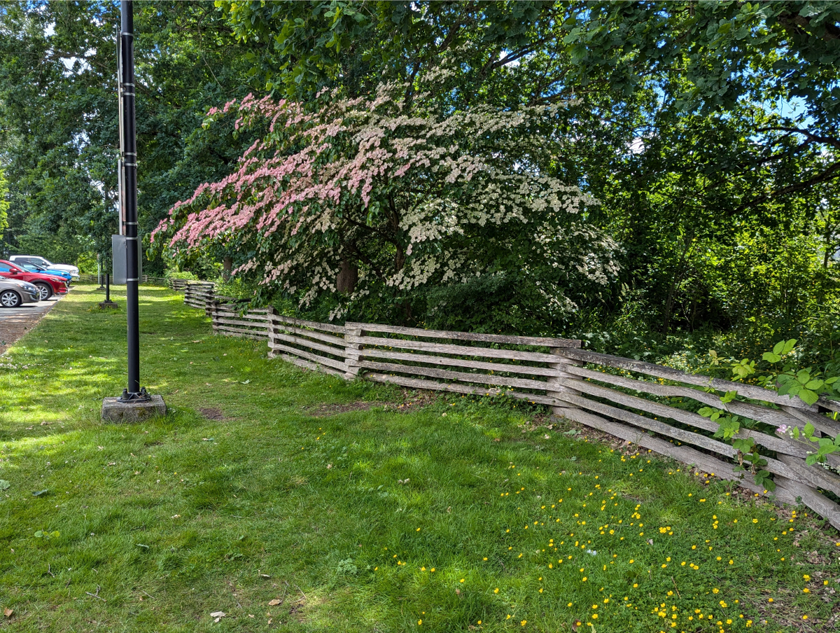 Split rail fence made by kpu students