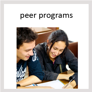 peer programs