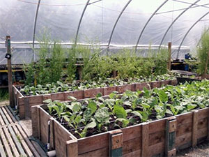 Richmond Farm School