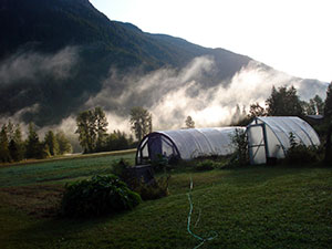 Food System Managment