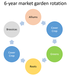 6 year crop rotation