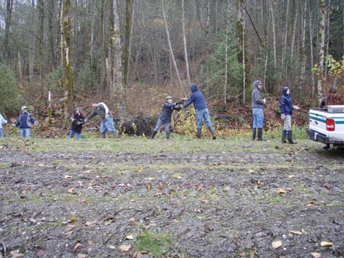 Students restoring a stream