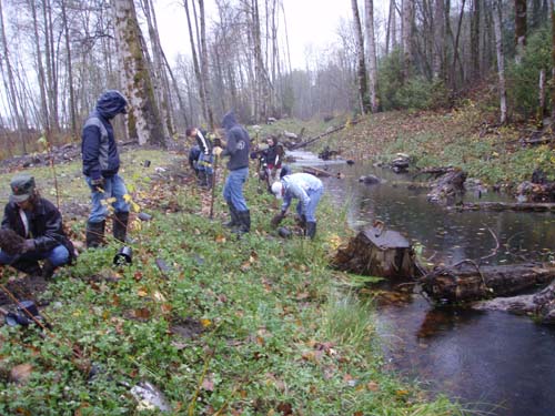 Students restoring a stream