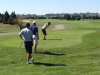 golf 14
