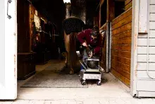 Kwantlen Polytechnic University has launched its newly redesigned farrier program.