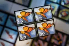 Keith Martin's monarch butterfly stamp.