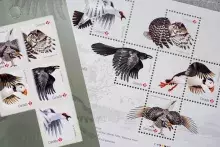 Birds of Canada stamps